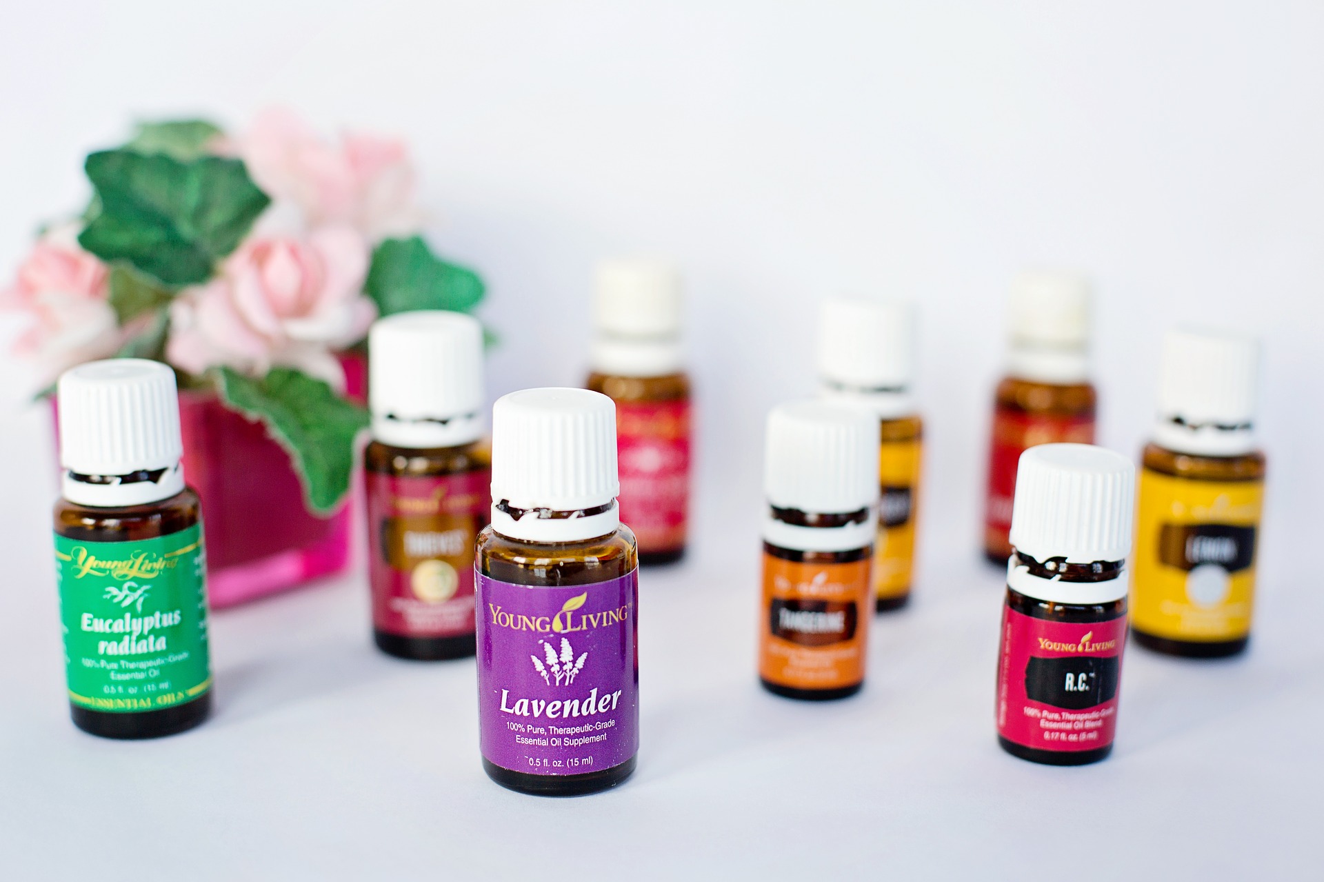 How Do Essential Oils Work on the Body and Mind? Lifestyle Prowess